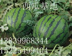 潍坊新瓜最新爆料,揭秘背后惊人真相 第2张 潍坊新瓜最新爆料,揭秘背后惊人真相 第2张